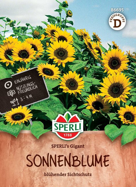 SPERLI Sonnenblumen-Samen Gigant, gelb - Bild 1