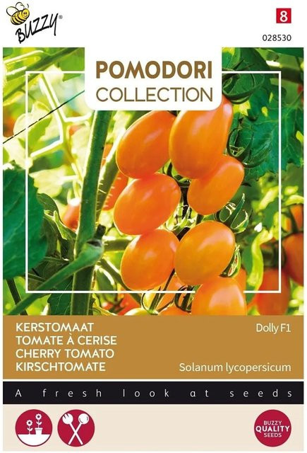 Arborix Kirschtomate Dolly F1 Buzzy Pomodori Gemüsesamen für Garten und Gewächshaus, 7 Stück - Bild 1