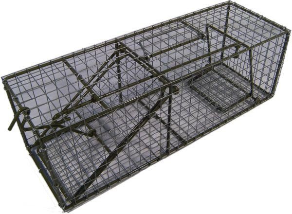Tierfalle Lebendfalle B/T/H: 62 x 21 x 21 cm - Bild 1