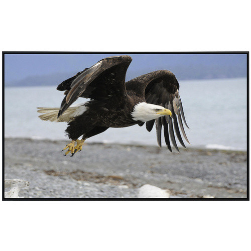 papermoon Infrarotheizung EcoHeat Weisskopfseeadler mit Matt-Effekt in Bunt, App-Steuerung und Überhitzungsschutz - Bild 2