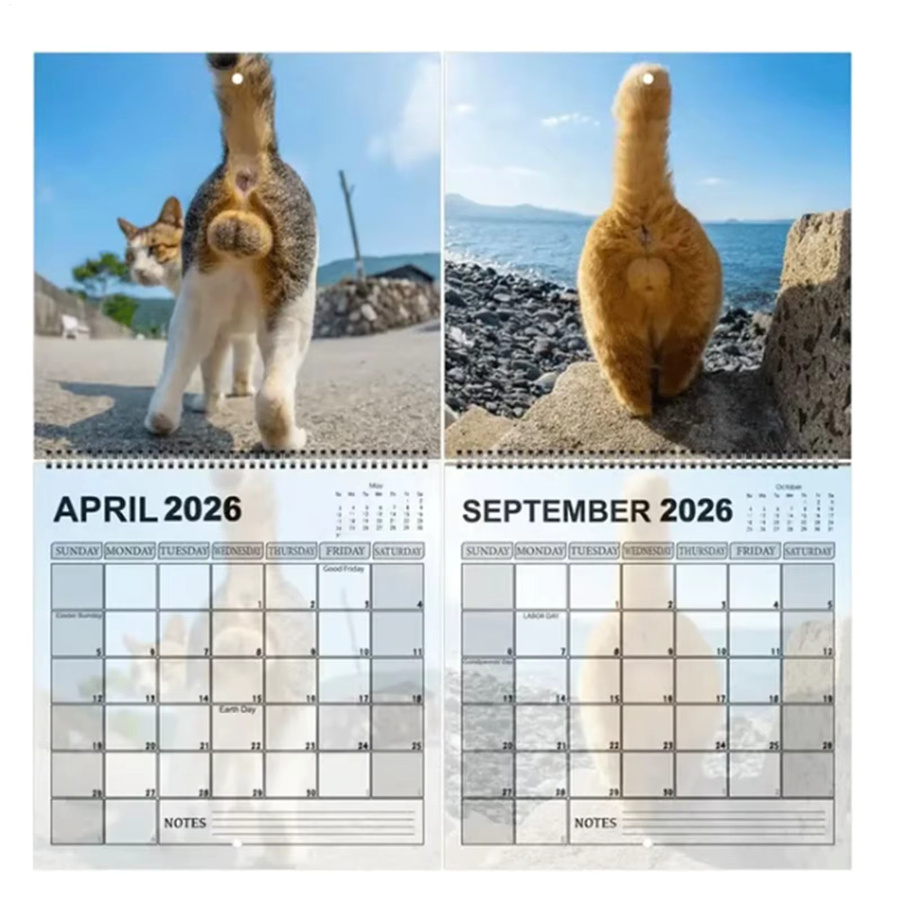 Wandkalender 2026 mit Katzenmotiv als Monatsplaner in Multicolour - Bild 3