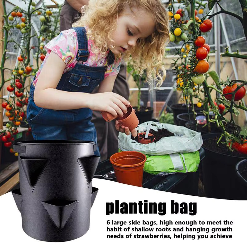 Verdickter Erdbeer-Pflanzbeutel aus Vliesstoff in Schwarz mit 6-seitiger Tasche für den Garten, B/T/H: 35,0 x 30,0 x 30,0 cm - Bild 3