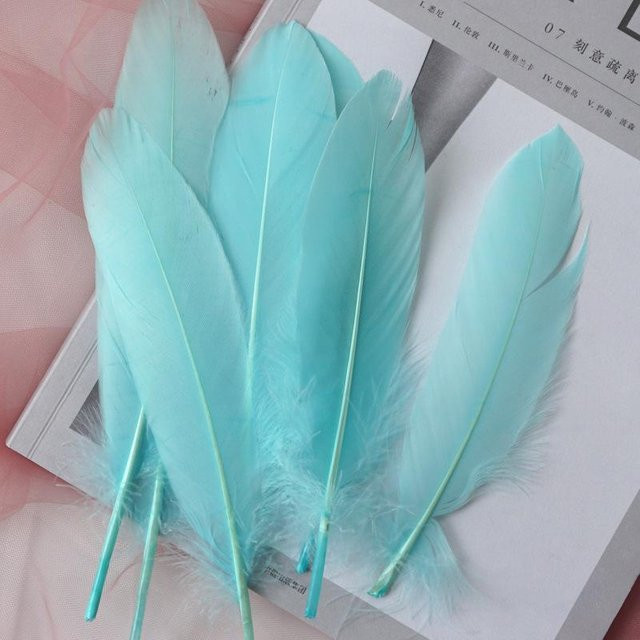 50 oder 100 Stück natürliche Gänsefedern in See-Blau, 15-20 cm lang, ideal für DIY-Bastelarbeiten, Schmuckherstellung und Heimdekoration - Bild 1