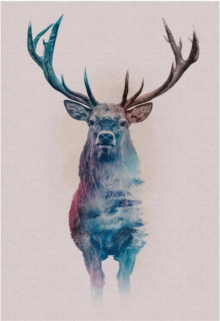 Komar Wandbild Animals Deer Paper Poster, Multicolor, Breite: 50 cm, Höhe: 70 cm - Bild 1
