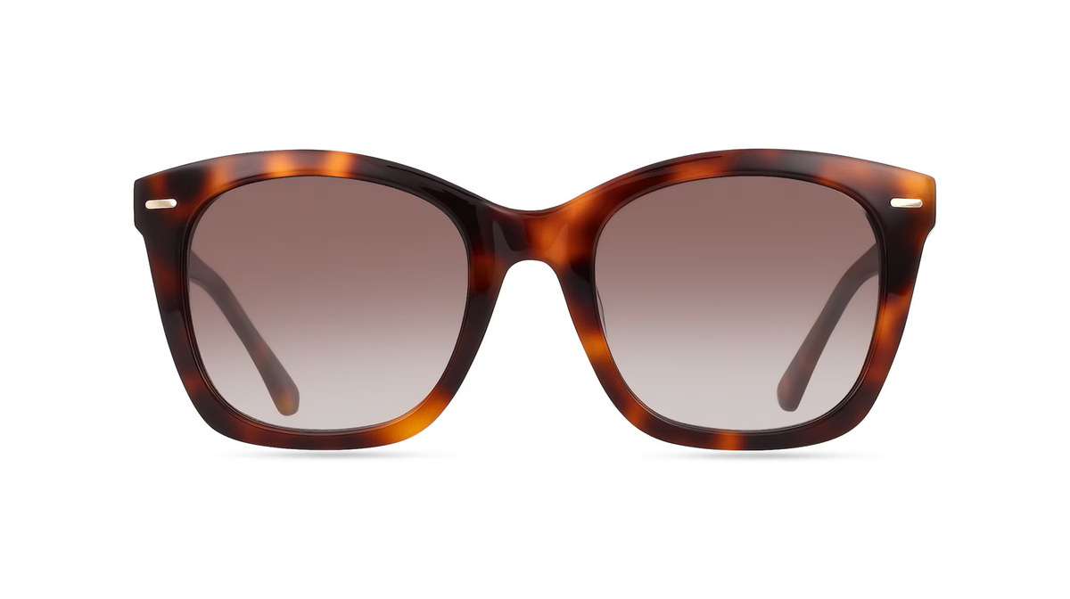 Calvin Klein CK21506S Sonnenbrille Butterfly, Vollrand, Kunststoff, Unisex, braun - Bild 1