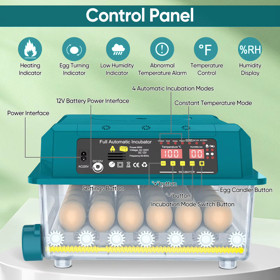 Lpnove Vollautomatischer Brutapparat für 36 Eier mit 4 Schlupfmodi, automatischer Wendung und Temperaturregelung, Duale Stromversorgung 220V/12V, Mini Geflügel-Brutmaschine für Hühner und Enten - Bild 4