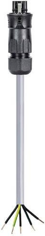 Wieland Electric 96.453.8084.1 Anschlussleitung Schwarz - Bild 1