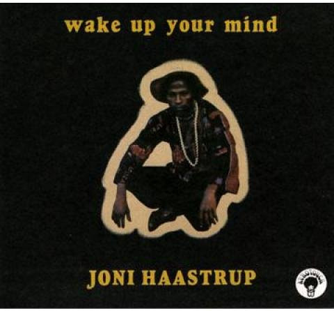 Joni Haastrup - Wake Up Your Mind CD (2011, Weltmusik/Folk, Tummy Touch/Sou) - Bild 1
