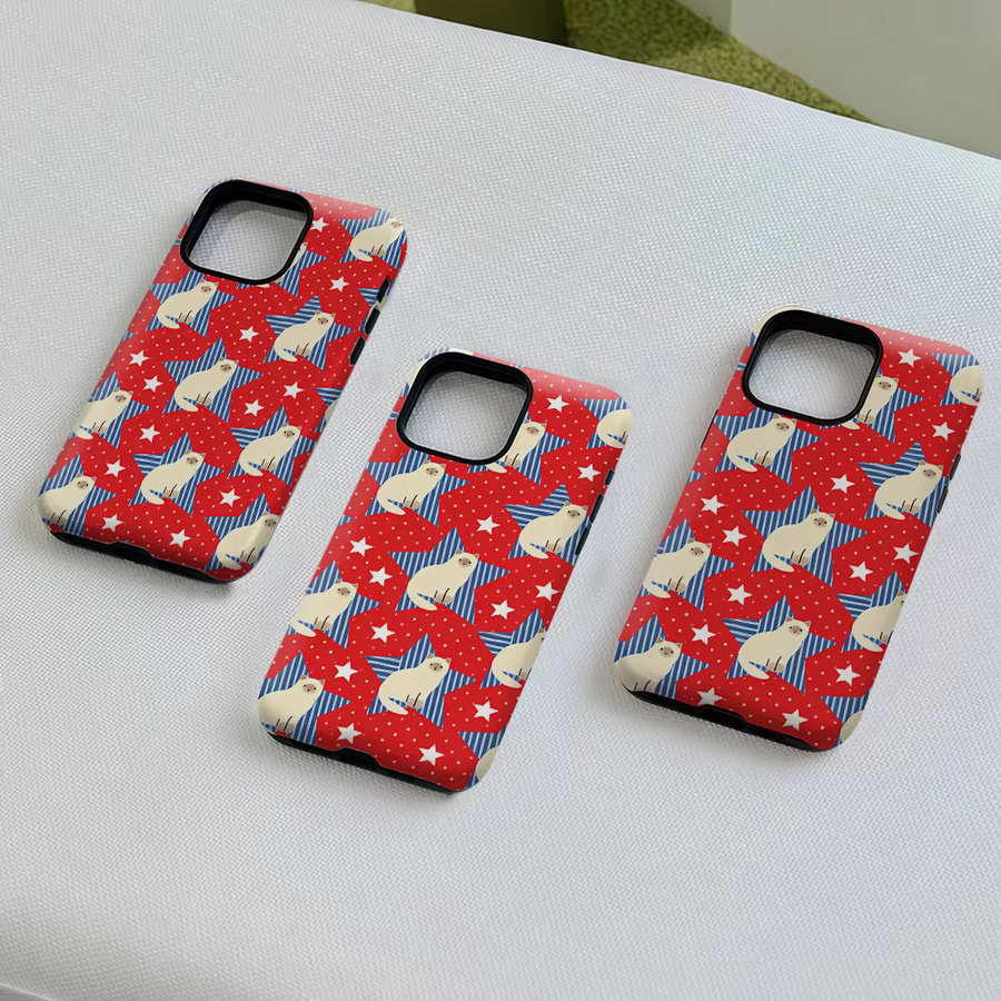 Aurea Case Matte Bumper MagSafe Schutzhülle für iPhone 13 bis 17 Pro Max mit Siamesische Katze Stern Design in Multicolour - Bild 4