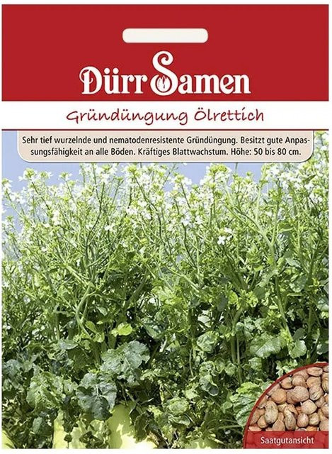 Dürr Samen Ölrettich Gründüngung Saatgut 1 kg - Bild 1