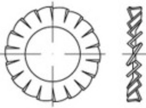 TOOLCRAFT Fächerscheibe aus Federstahl mit 28 mm Innendurchmesser, 100 Stück - Bild 1