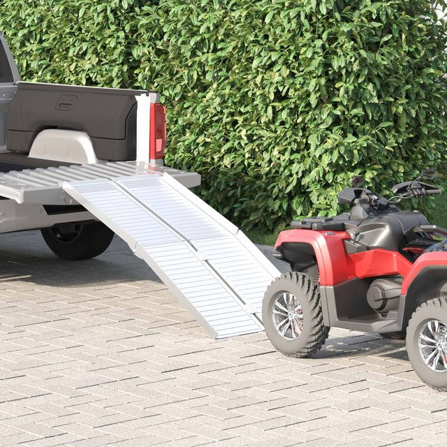 Rollstuhlrampe aus Aluminium von VD Home Furnishing in Silber mit einer Tragkraft von 270 kg - Bild 1