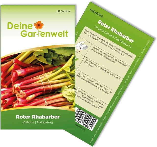 Deine Gartenwelt Rhabarber Rot Samen für den Garten - Bild 1