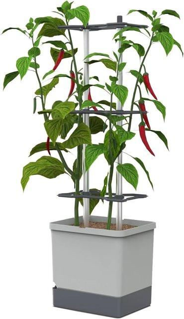 Gusta Garden Charly Chili Pflanzentopf mit Rankhilfe, Hellgrau, Höhe: 105,4 cm - Bild 1