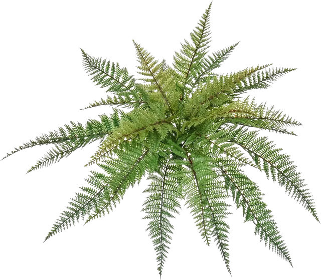 Künstlicher Farn Sieglinde von Aplanta, Höhe: 48 cm - Bild 1