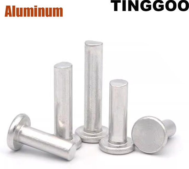 TINGGOO Aluminium Blindnieten mit Flachrundkopf in Silber - Bild 1