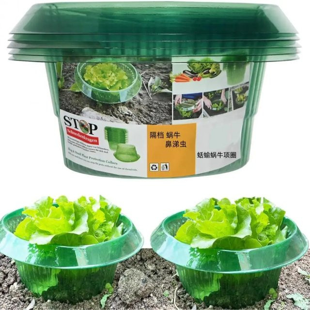 6/8 Stück Schneckenkragen Pflanzenschutzkragen in Grün zur Schneckenabwehr und Wasserersparnis für deinen Gemüsegarten - Bild 1