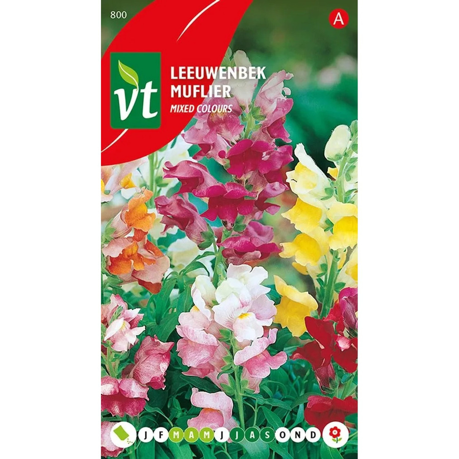 Arborix Löwenmaul Nain Mix Saatgut mit bunten Blüten, 0,4 g - Bild 2