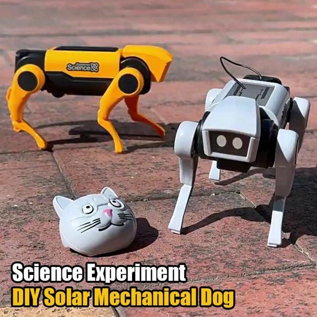 CONUSEA Wissenschaftliches Experiment, solarbetrieben, Lernspielzeug - Bild 1