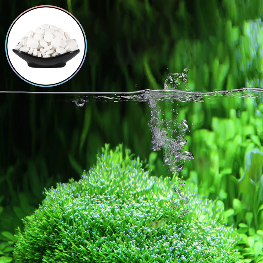 150 Algen-Reinigungstabletten zur Algenentfernung für Aquarium, Teich und Moos in Weiß - Bild 3