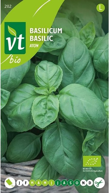 Arborix Basilikum Aton Bio Saatgut mit intensivem Aroma, 0,75 g - Bild 1