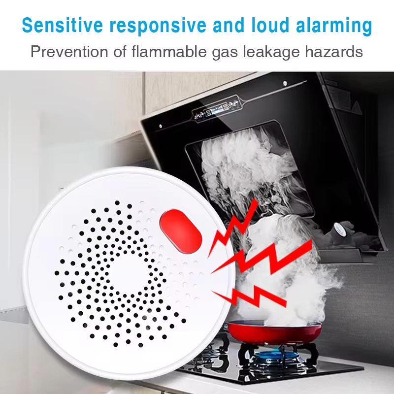 DYGSM Tuya Zigbee Gasdetektor zur intelligenten Gasüberwachung in Echtzeit, kompatibel mit Alexa und Google Home, Weiß - Bild 3