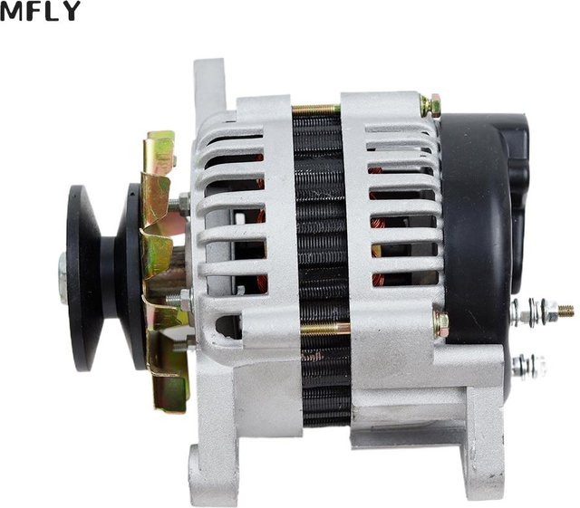 XMSJ Bürstenloser AC Permanentmagnet Hochleistungsgenerator mit Riemenscheibe in Silber - Bild 1