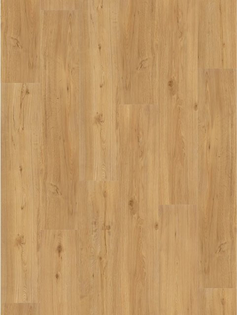 Parador Vinylboden Basic 30 Eiche Landhausdiele Natur in Braun - Bild 1