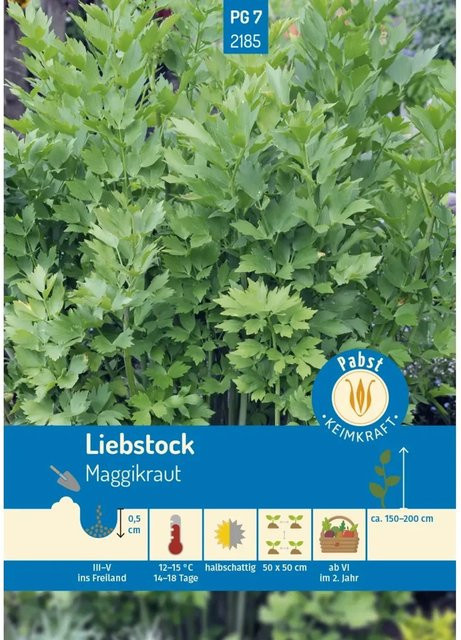 Pabst Keimkraft Liebstock Maggikraut Saatgut für Suppen, Salate und Tee - Bild 1