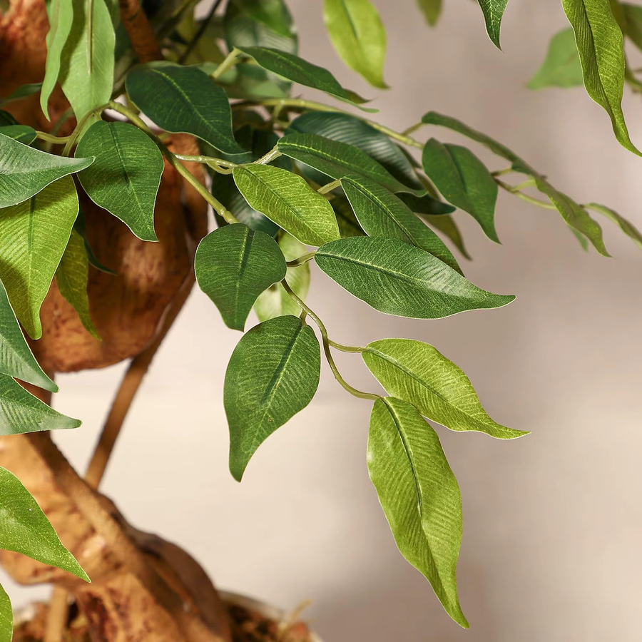 Litake Künstlicher Ficusbaum mit gebogenem Stamm in Grün, Höhe: 152,4 cm - Bild 4