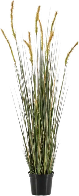 Künstlicher Fuchsschwanz Henry von Aplanta in der Farbe Grass mit einer Länge von 120 cm - Bild 1