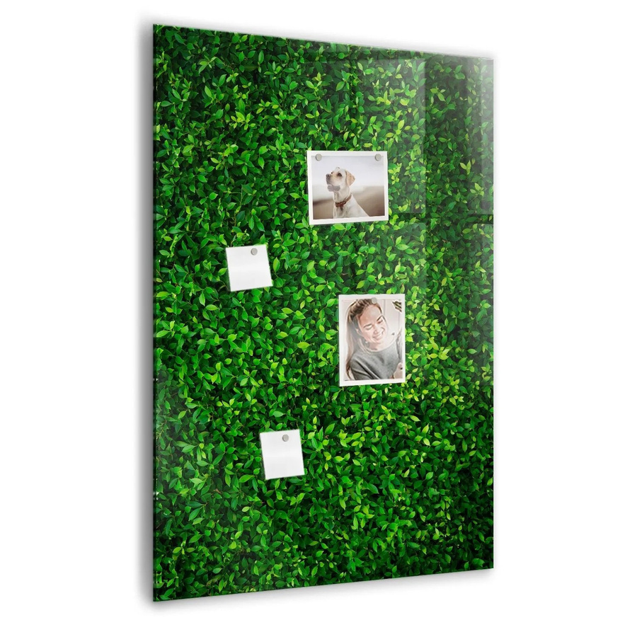 Tulup Magnetische Glassboard Beschreibbare Magnettafel Weiß mit Blättern der Zaunpflanze B: 100 cm, H: 70 cm - Bild 2