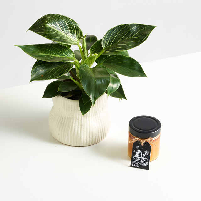 White Wave mit Diebesgut Honig 250g - Bild 1