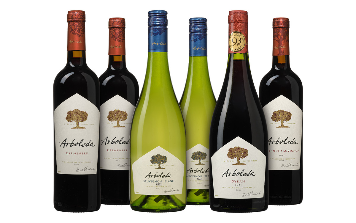 Arboleda, Cabernet Sauvignon, Wein, 6 x 0,75 l - Bild 2