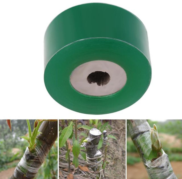 Biologisch abbaubares Pfropfband für die Gartenarbeit und Pflanzenpflege - Bild 1