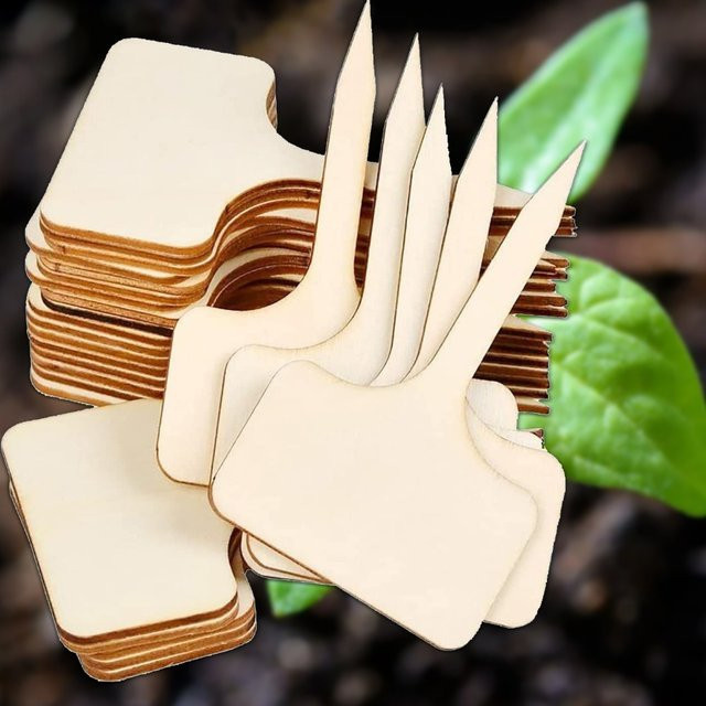Beiges Pappelholz Namensschild für den Gartenbau als Blumenteller-Indikator - Bild 1
