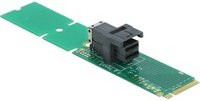 Delock M.2 Key M zu SFF-8643 NVMe Schnittstellenadapter für SSD 22110 / 2280 / 2260 in Grün - Bild 1