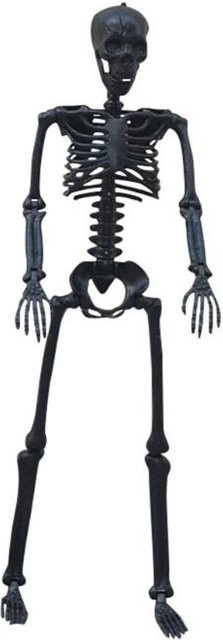 Realistische Ganzkörper-Menschenknochen Halloween-Requisiten aus Kunststoff mit flexiblen Gelenken in Schwarz - Bild 1
