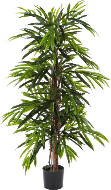 Künstliche Longifolia Baum Maurice von Aplanta, Höhe: 210 cm - Bild 1