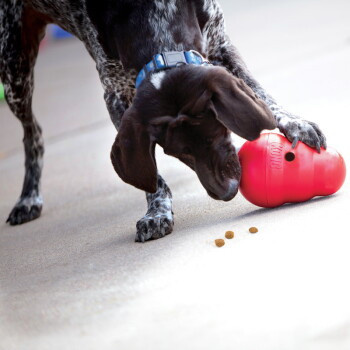 KONG Wobbler L - Bild 2