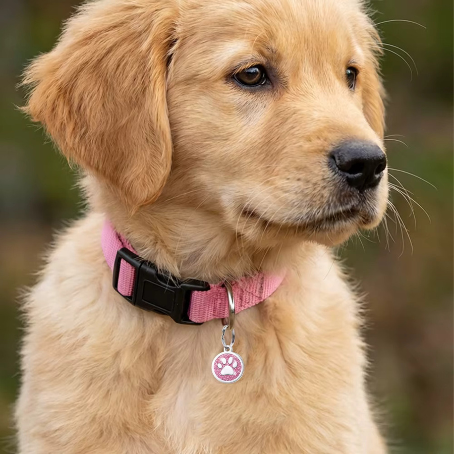 Anhänger aus Legierung, Glitzer-Pfoten-Design, für Hunde und Katzen - Bild 2