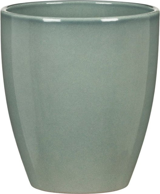 Scheurich Orchideentopf 620 in Salbei, Durchmesser: 13 cm, Höhe: 15 cm - Bild 1