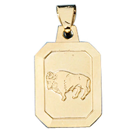 Colfem Anhänger Sternzeichen Stier, 333 Gelbgold matt, Unisex - Bild 1
