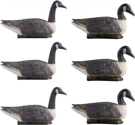 VEVOR Kanadagans-Lockvogel Set aus Kunststoff, 6 Stück, ultrarealistische Lackierung, Mehrfarbig - Bild 1