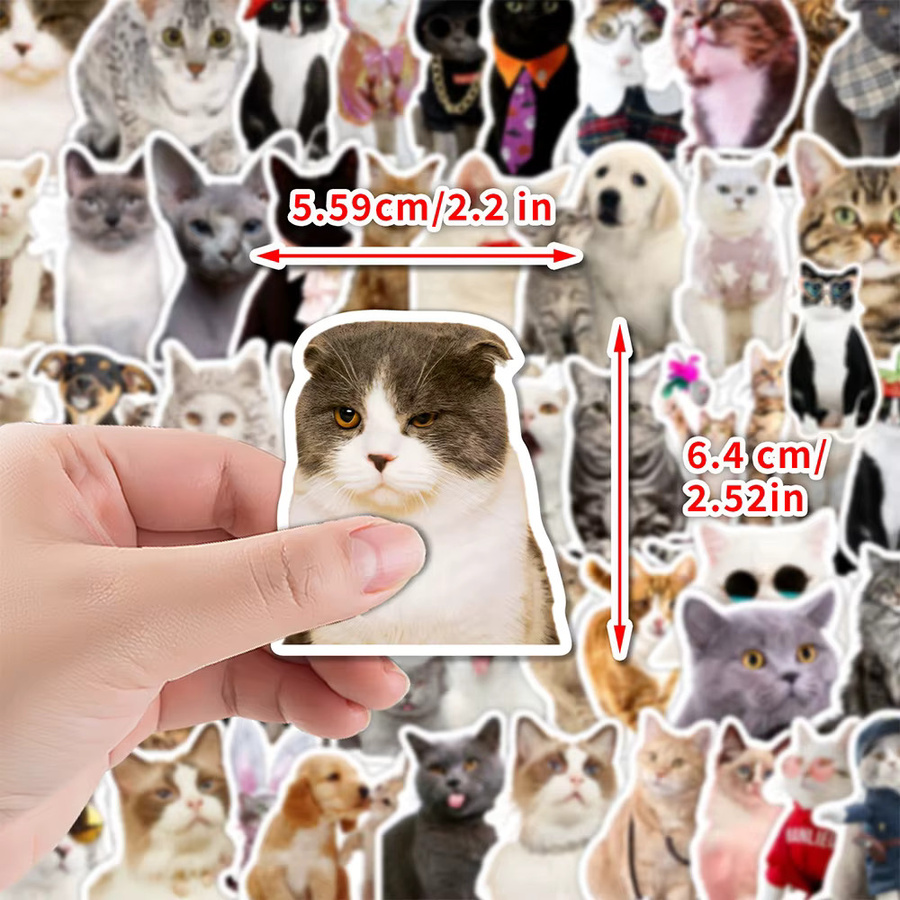 Charile Kawaii süße Katze Meme Aufkleber, Dekoration, multicolor - Bild 3