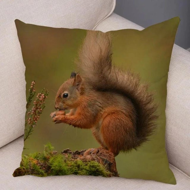 GUOYU HOMEDECOR Kissenbezug mit Eichhörnchen-Motiv, superweiches Polyester, Braun, B/T/H: 40,64 x 40,64 x 0 cm - Bild 1