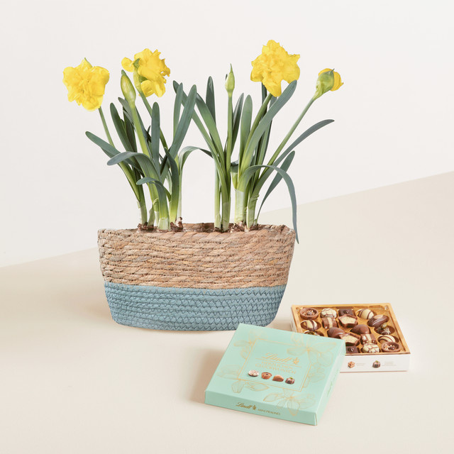Lindt Pralinés Sweet Sunshine Glückwunsch mit Narzissen von BLUME2000, 100g - Bild 1