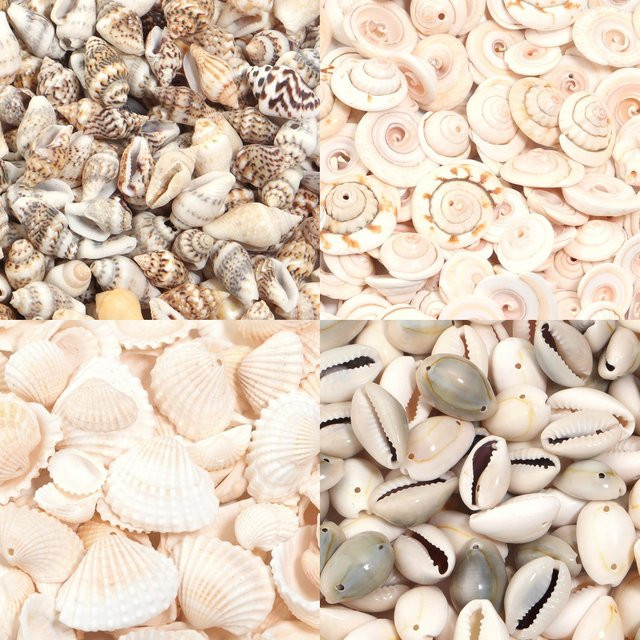 Perlen Meer Blume Schnecke Shell, Bunt, DIY Schmuck Zubehör - Bild 1