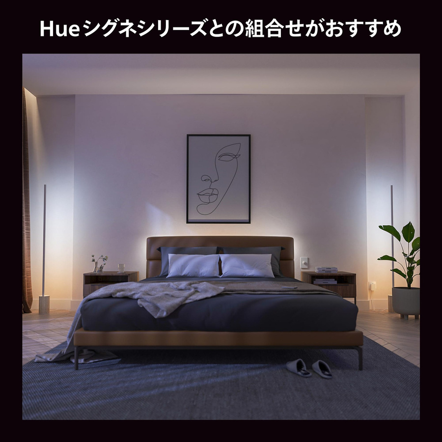Philips Hue LED-Streifen Basis-Set RGBIC Mehrfarbig mit Warmweiß und Kühlweiß, 2 m Länge, Smart Home kompatibel mit Alexa und Matter - Bild 3