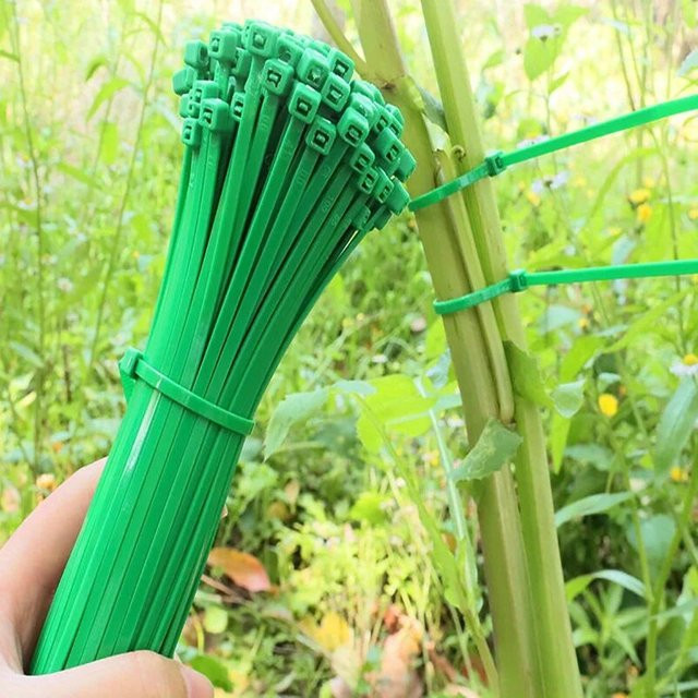 Ausum Gartenumreifung in Grün aus Kunststoff zur Pflanzenbefestigung und Rasenpflege mit Reißverschlussbinder - Bild 1